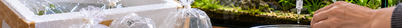 📦 Deine Tiere sind angekommen – was jetzt?