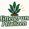 Mittelgrund Pflanzen