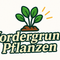 Vordergrund Pflanzen