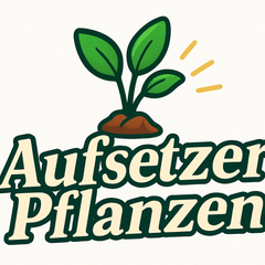 Collection image for: Aufsetzer Pflanzen