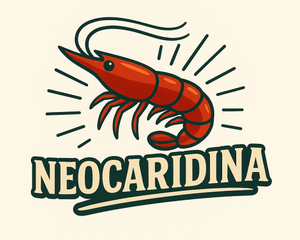 Collection image for: Neocaridina Garnelen
