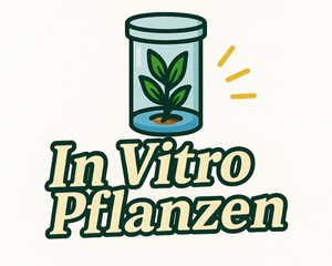 Collection image for: In Vitro Pflanzen