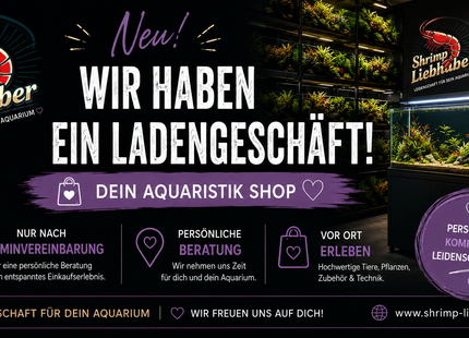 Termin zum Besuch in unserem Aquarisik Shop