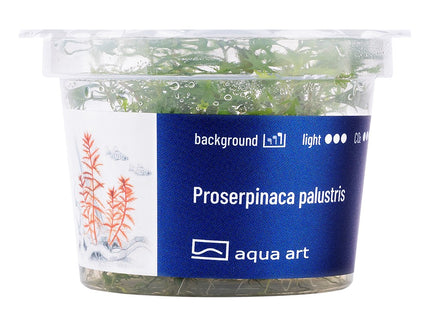 Proserpinaca palustris - In Vitro