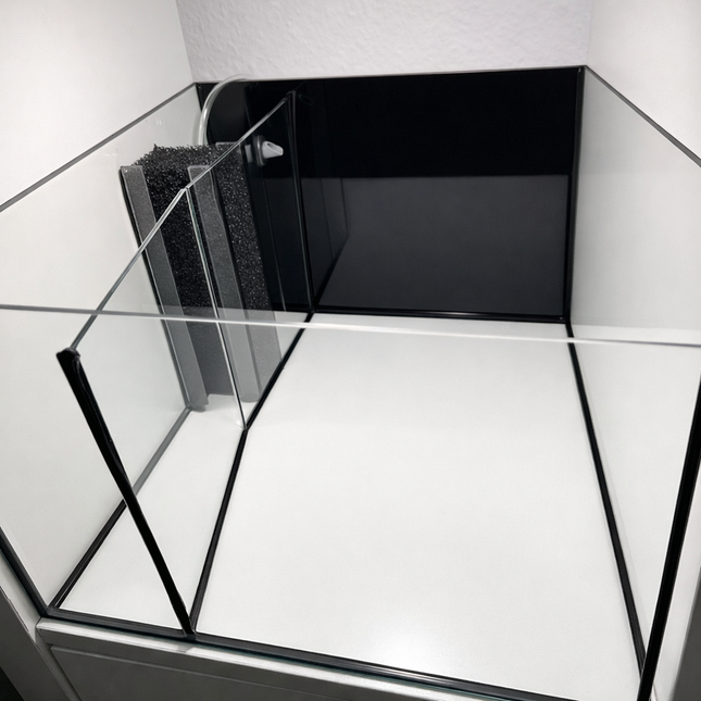 Kallax Keil-Becken – Zucht Aquarium