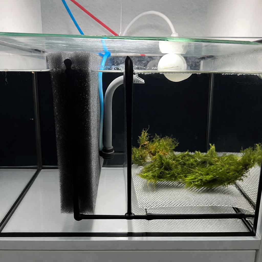 Aquarium für Regal aus Schweden – Gerdkasten Zucht Aquarium