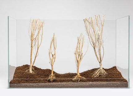 Slim Tree – S (15–25 cm)