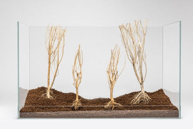 Slim Tree – S (15–25 cm)