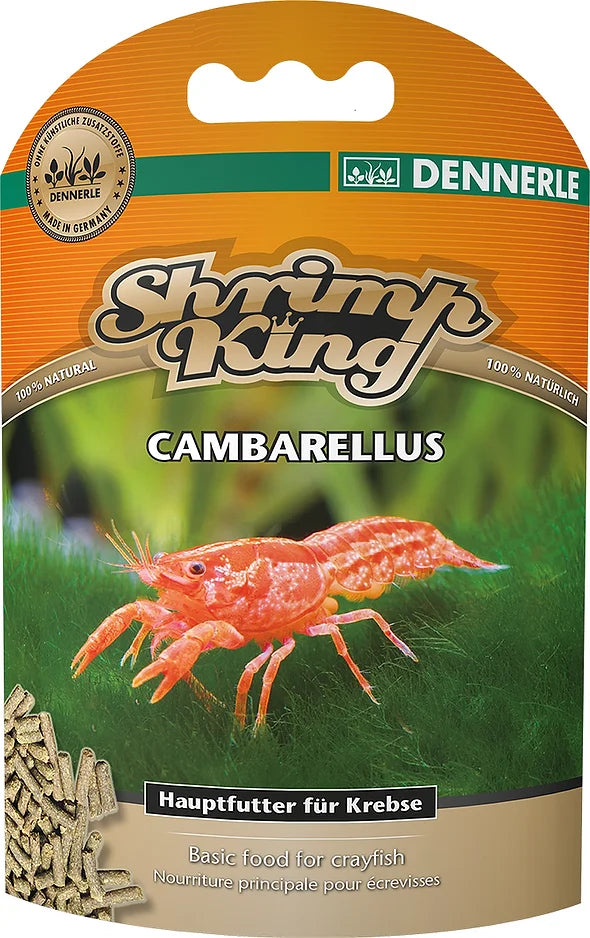 Shrimp King Cambarellus