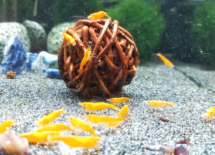 Weidenholzball - 5cm