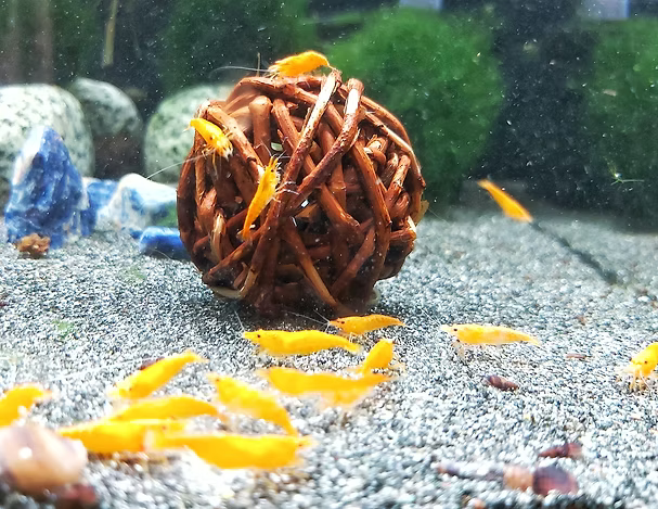Weidenholzball - 5cm