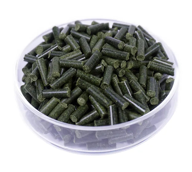 Gerstengras Sticks, 50g