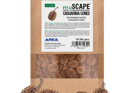 Casuarina Cones | Kasuarinen-Zapfen - 50 Stück