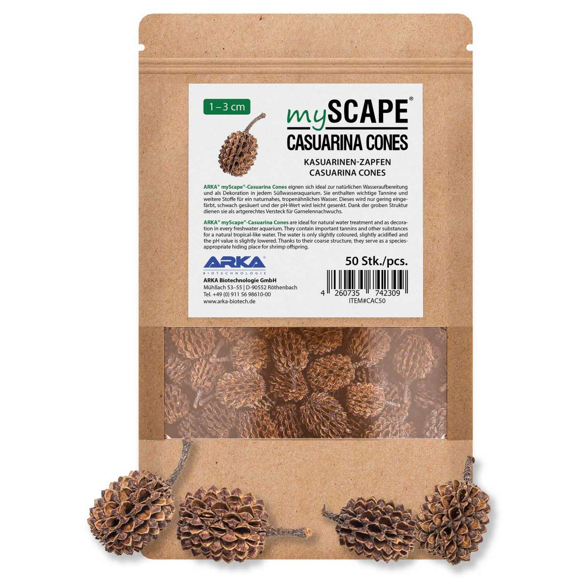 Arka Casuarina Cones | Kasuarinen-Zapfen - 50 Stück