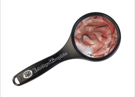 Artemia Lebendfutter