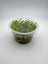 Bacopa salzmannii purple – In Vitro