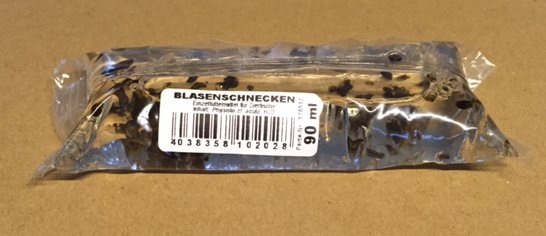 Blasenschnecken Lebendfutter
