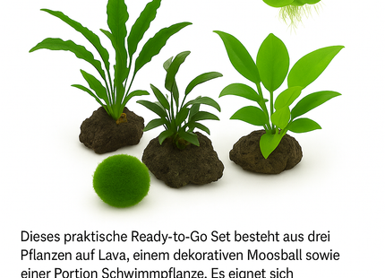 Ready-to-Go Set – Wurzel & Blatt