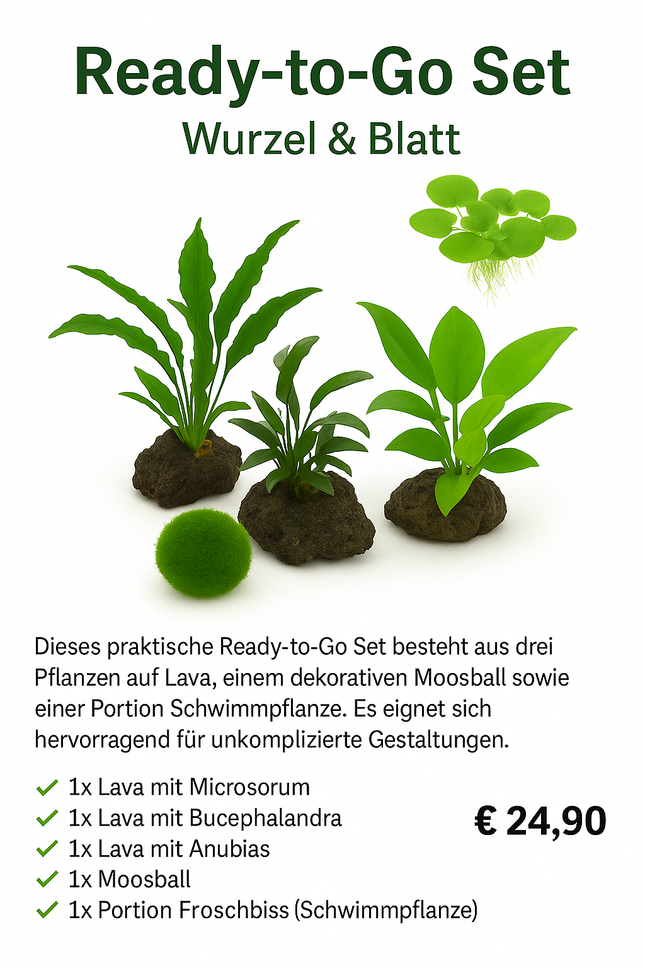 Ready-to-Go Set – Wurzel & Blatt