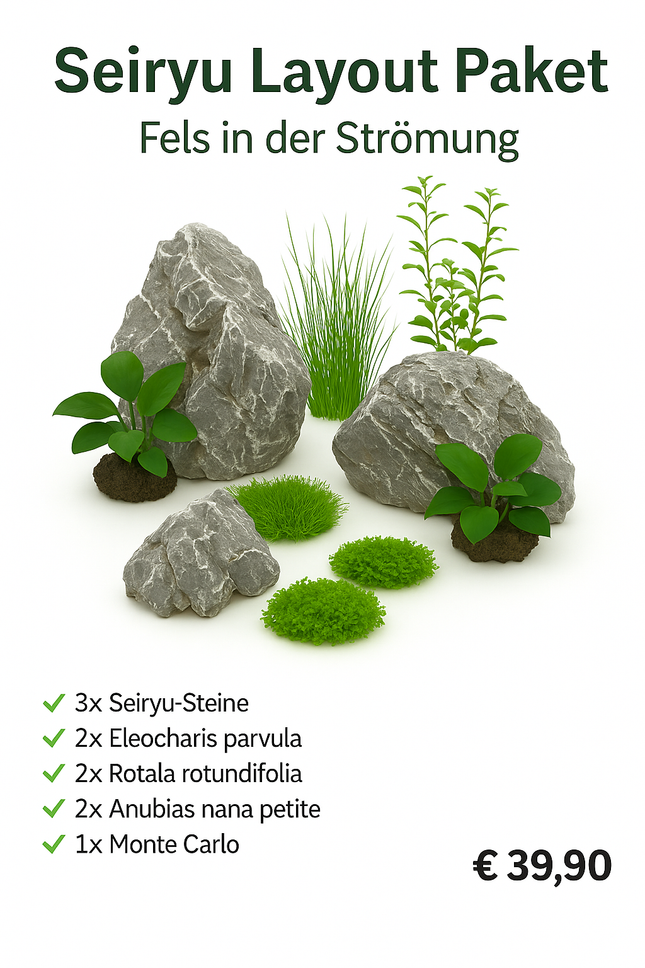 Seiryu Layout Paket – Fels in der Strömung