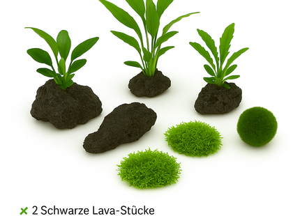 LavaScape Paket – Schwarze Kontraste