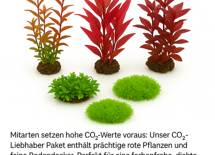 CO₂-Liebhaber Paket – Scaper Pro
