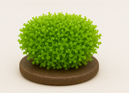 Riccia fluitans ''Teichlebermoos'' - Portion