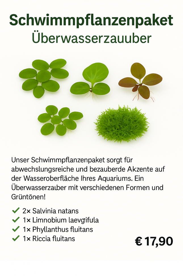 Schwimmpflanzenpaket – Überwasserzauber