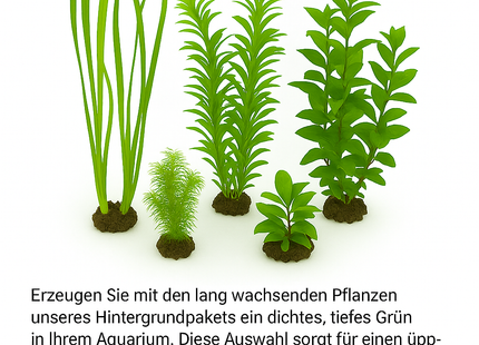 Hintergrundpaket – Grüne Tiefe