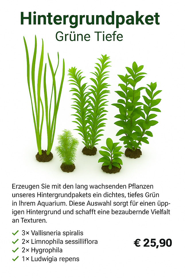 Hintergrundpaket – Grüne Tiefe