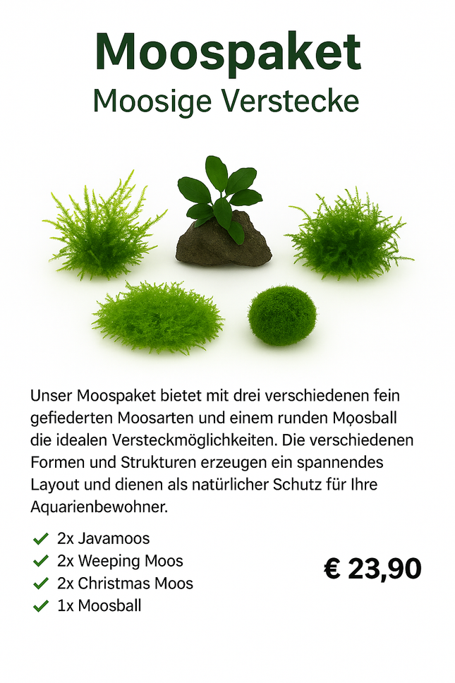 Moospaket – Moosige Verstecke