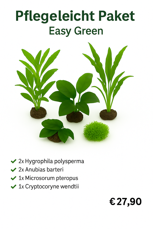 Pflegeleicht Paket – Easy Green