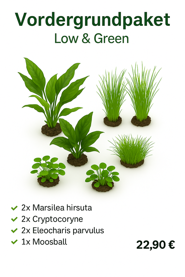Vordergrundpaket – Low & Green