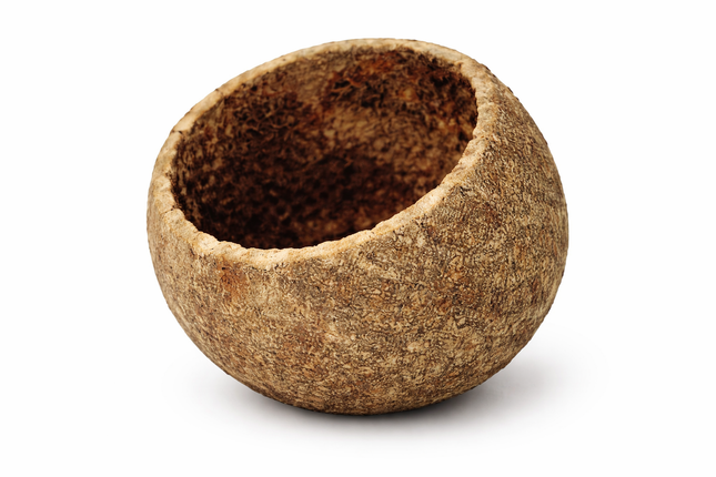 Holzapfel – ca. 5 cm