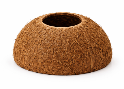 Kokos Halbschale mit öffnung oben