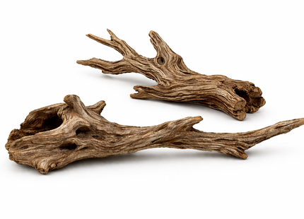 Driftwood Wurzel (Flussholz)