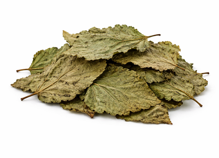 Maulbeerblätter – getrocknet 10stk