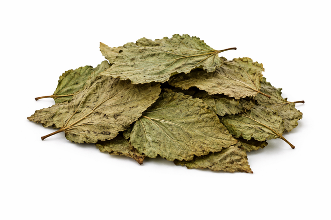 Maulbeerblätter – getrocknet 10stk