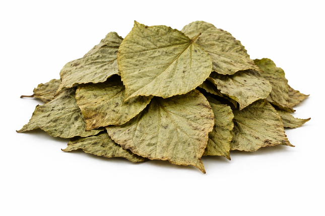 Dadapblätter – getrocknet 10 Stück, eingeschweißt