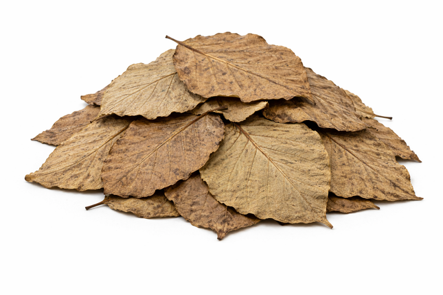 Teakblätter – getrocknet 20 g, abgepackt