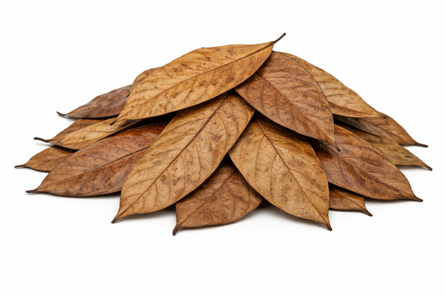 Kakaoblätter – getrocknet 10 g, abgepackt