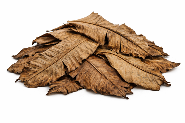 Bananenblätter – getrocknet 15 g, abgepackt