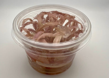 Cryptocoryne "Balasea Pink" – In Vitro