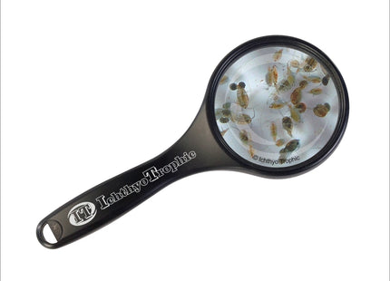 Seewassercopepoden Lebendfutter