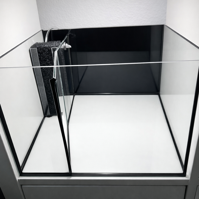 Kallax Keil-Becken – Zucht Aquarium