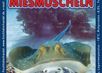 Miesmuscheln gebrüht und geschält 1kg Frostfutter