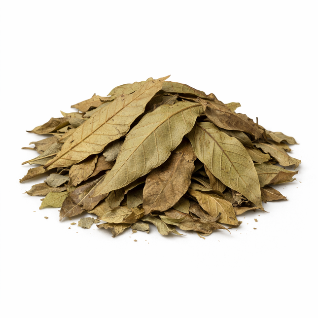 Getrocknete Guavenblätter – 10 Stück