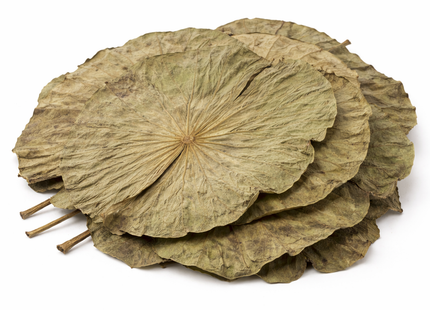Lotusblätter – getrocknet 15 g, abgepackt