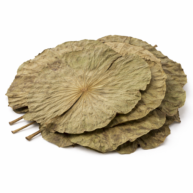 Lotusblätter – getrocknet 15 g, abgepackt