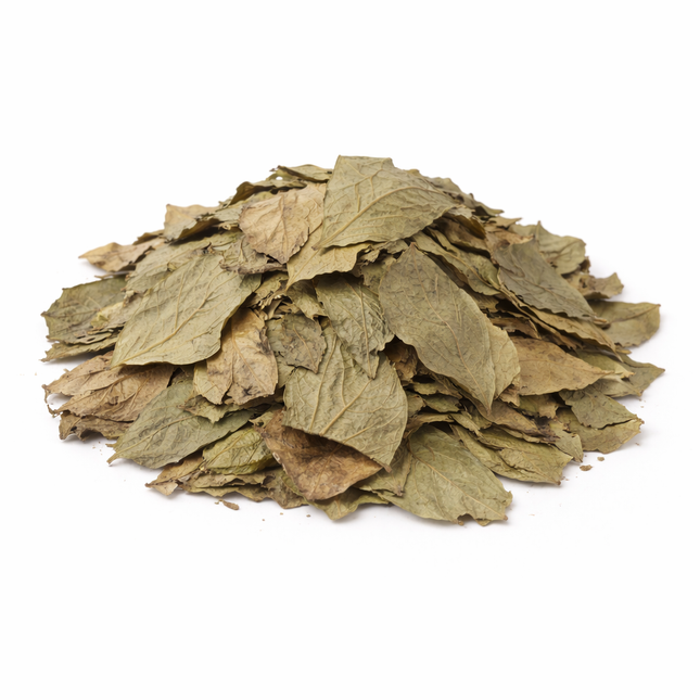 Lotusblätter – getrocknet 15 g, abgepackt